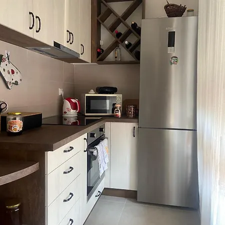 La Sirena アパート クラドヴォ